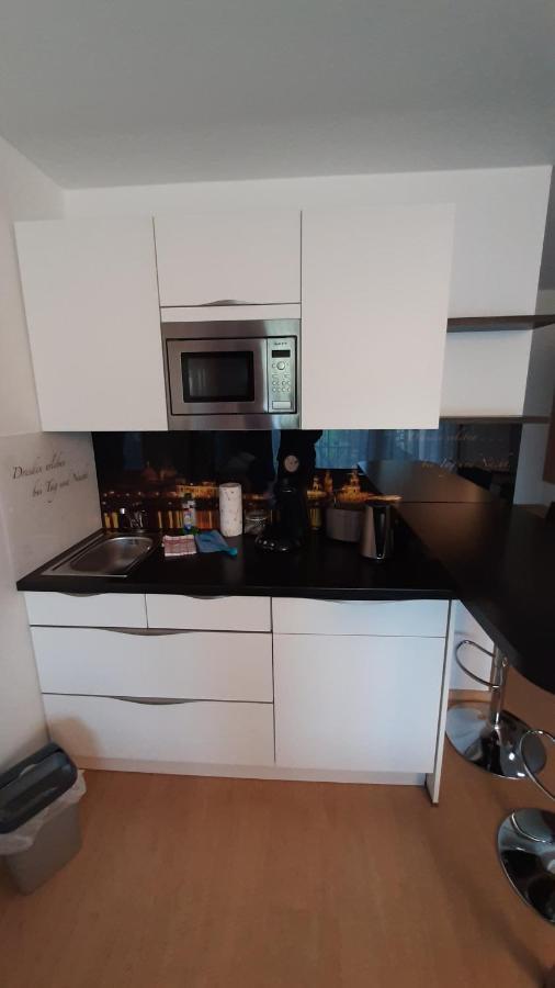 Appartements Am Schillergarten ドレスデン エクステリア 写真
