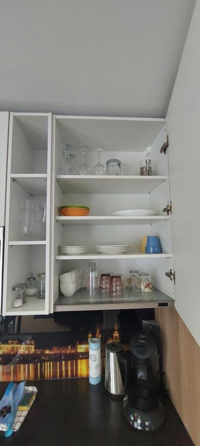 Appartements Am Schillergarten ドレスデン エクステリア 写真