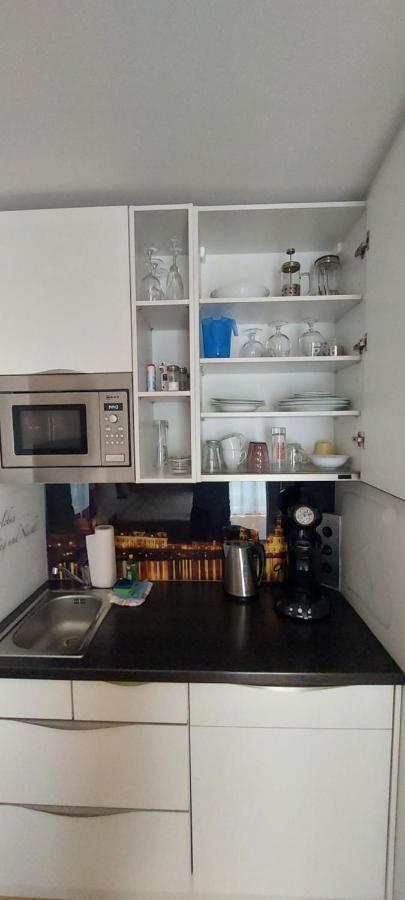 Appartements Am Schillergarten ドレスデン エクステリア 写真